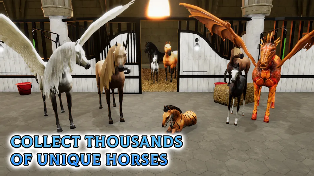 Horse Academy - Equestrian MMO [MOD: бесконечные деньги и редкие лошади] Screenshot 5