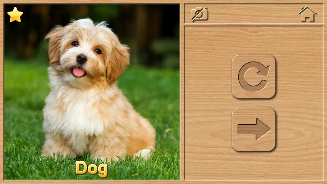 Animal Puzzles for Kids [MOD: открыты все пазлы и уровни] Screenshot 2