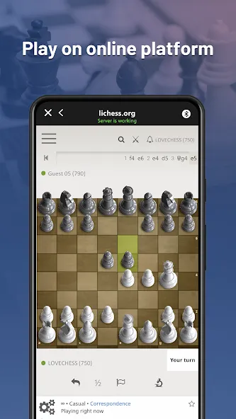 Chessnut [MOD: бесплатная версия без рекламы] Screenshot 2