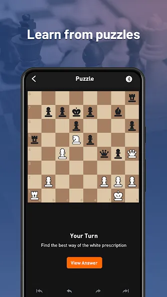 Chessnut [MOD: бесплатная версия без рекламы] Screenshot 3