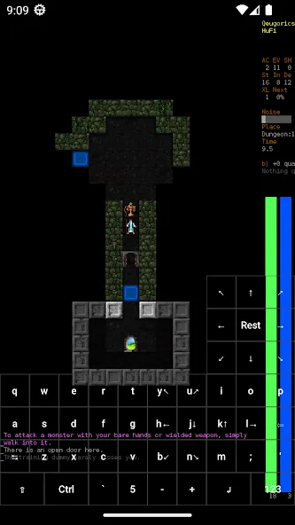Dungeon Crawl Stone Soup [MOD: новые подземелья и усиленные персонажи] Screenshot 3
