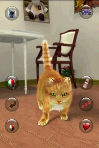 Talking Lovely Cat [MOD: безлимитные монеты и наряды] Screenshot 1