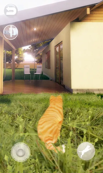 Talking Lovely Cat [MOD: безлимитные монеты и наряды] Screenshot 2