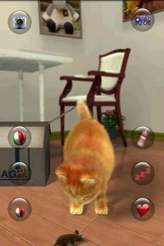 Talking Lovely Cat [MOD: безлимитные монеты и наряды] Screenshot 3