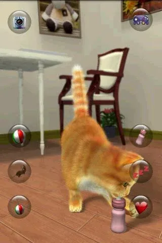 Talking Lovely Cat [MOD: безлимитные монеты и наряды] Screenshot 5