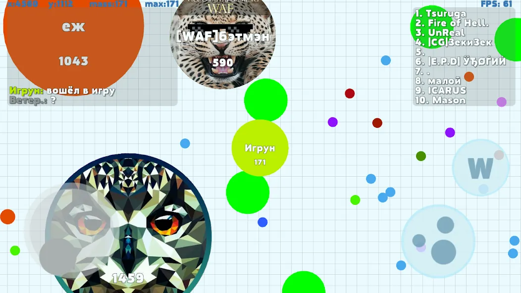 Petri Dish [MOD: безлимитные ресурсы и быстрый рост] Screenshot 3