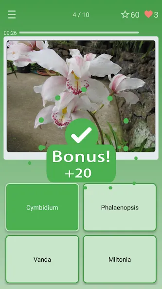 Quiz: Flowers, Plants [MOD: все растения разблокированы] Screenshot 2