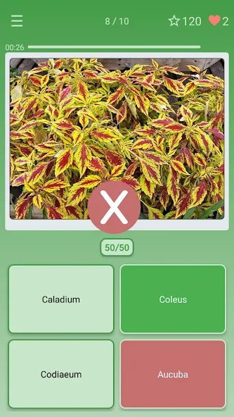 Quiz: Flowers, Plants [MOD: все растения разблокированы] Screenshot 3