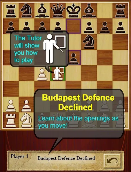 Chess [MOD: открыты все фигуры и режимы] Screenshot 3